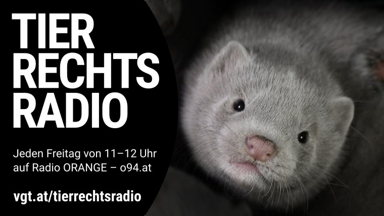 Bild zu dieser Radiosendung