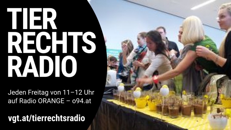 Bild zu dieser Radiosendung