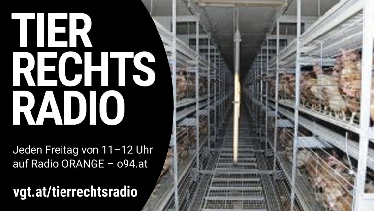 Bild zu dieser Radiosendung