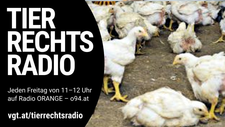 Bild zu dieser Radiosendung