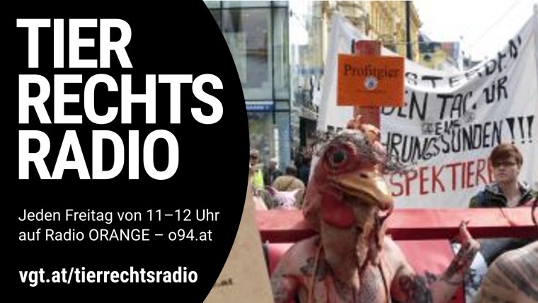 Bild zu dieser Radiosendung
