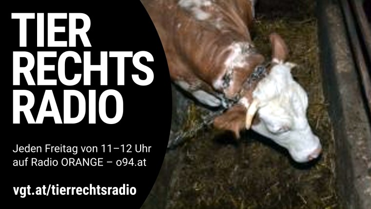 Bild zu dieser Radiosendung