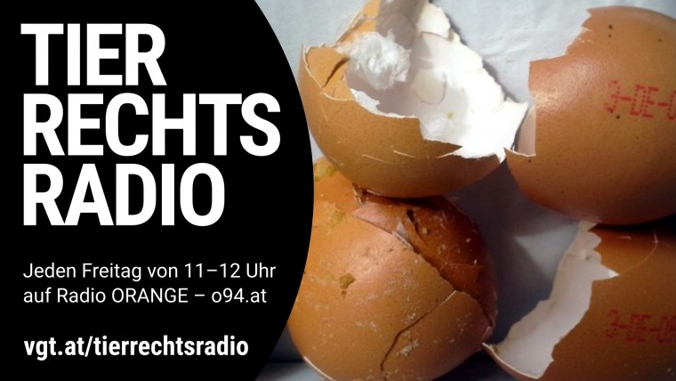 Bild zu dieser Radiosendung
