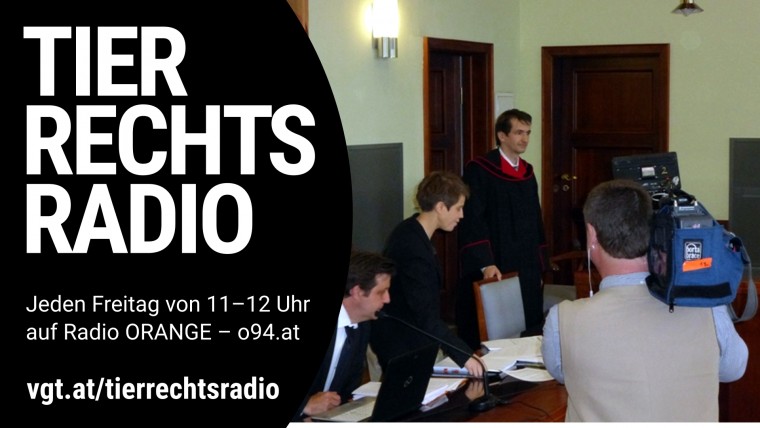 Bild zu dieser Radiosendung