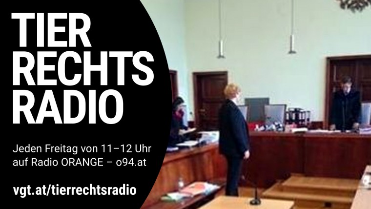 Bild zu dieser Radiosendung