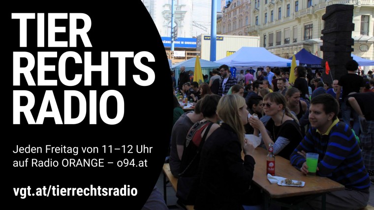 Bild zu dieser Radiosendung
