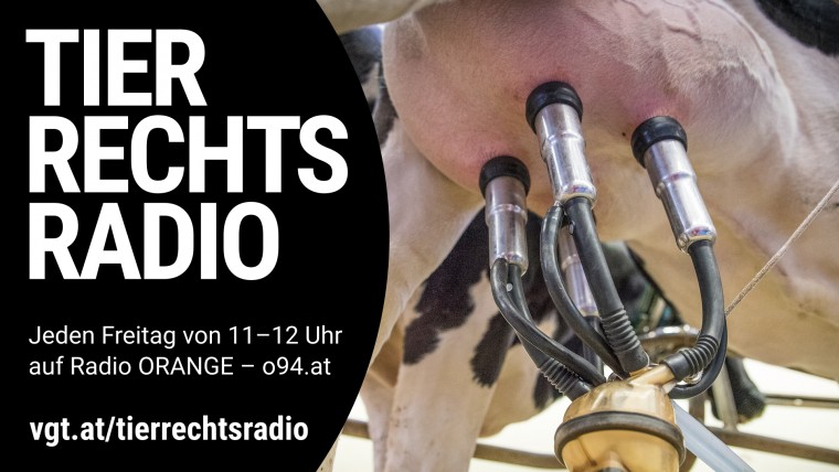 Bild zu dieser Radiosendung