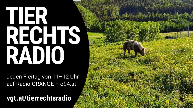 Bild zu dieser Radiosendung