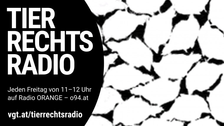 Bild zu dieser Radiosendung