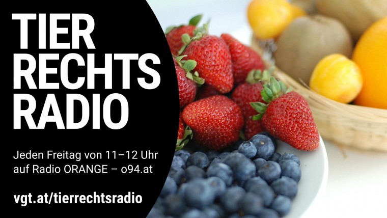 Bild zu dieser Radiosendung
