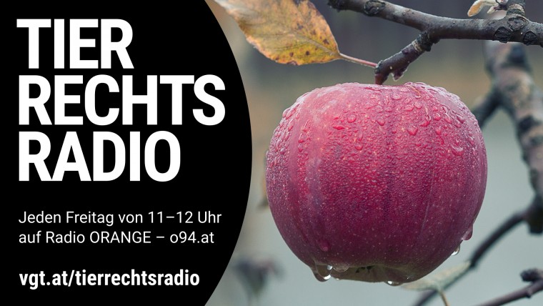 Bild zu dieser Radiosendung