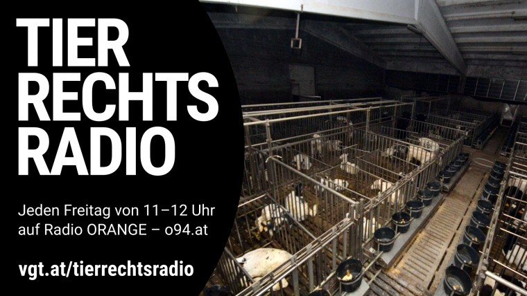 Bild zu dieser Radiosendung