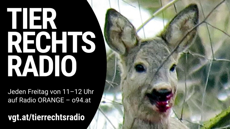 Bild zu dieser Radiosendung