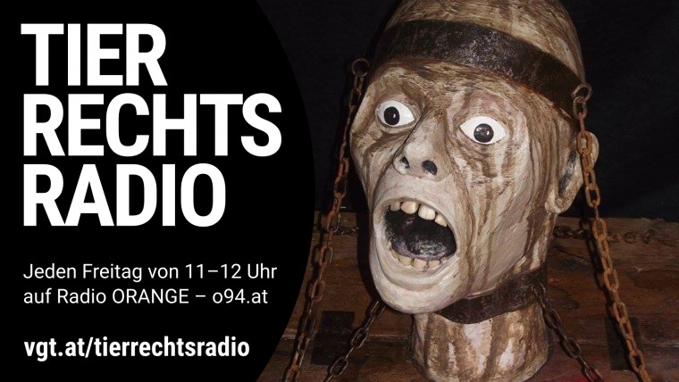 Bild zu dieser Radiosendung