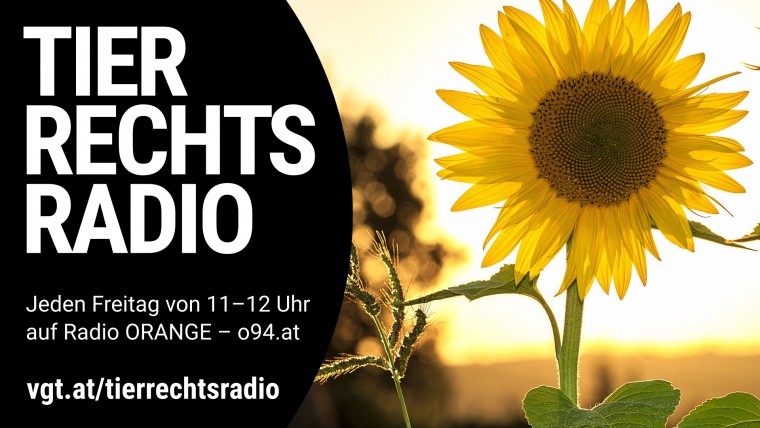 Bild zu dieser Radiosendung