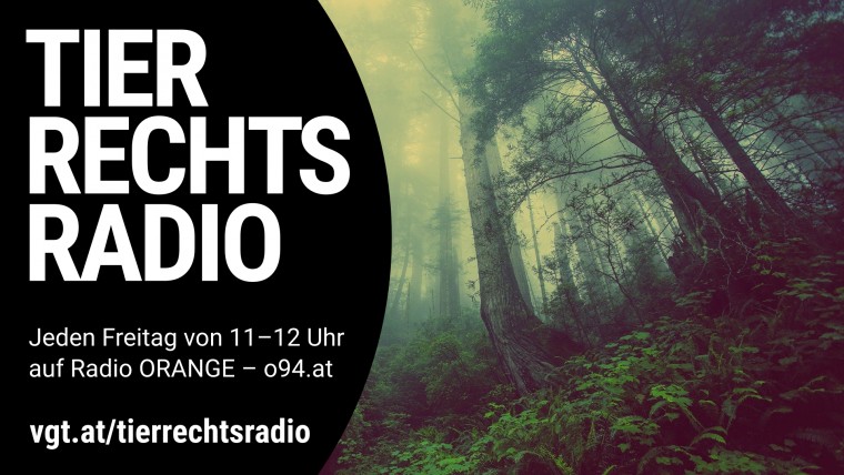 Bild zu dieser Radiosendung