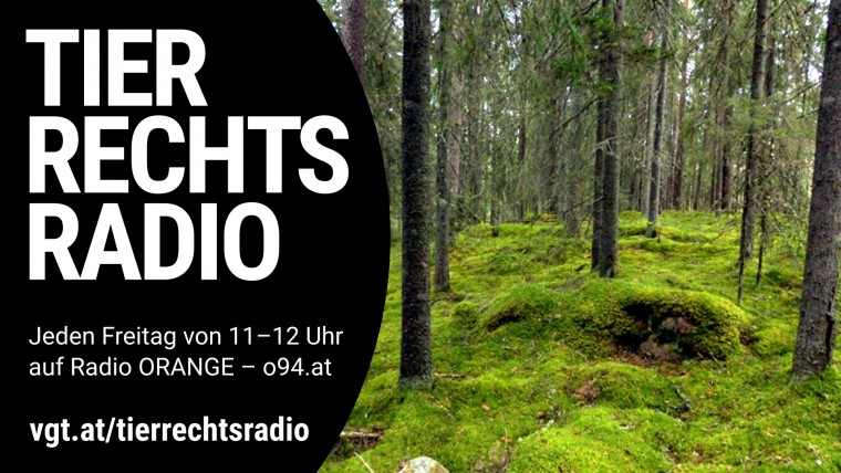 Bild zu dieser Radiosendung