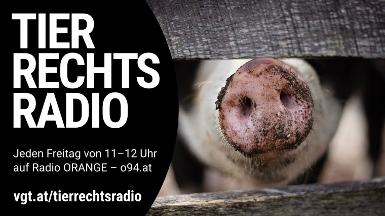Bild zu dieser Radiosendung