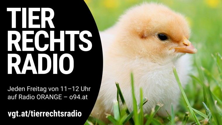 Bild zu dieser Radiosendung