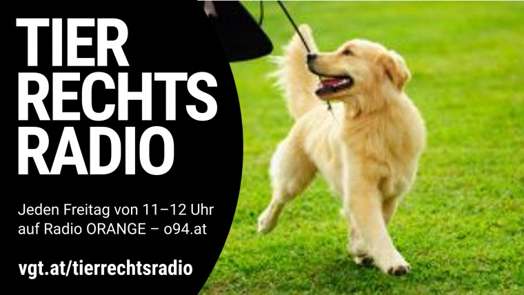 Bild zu dieser Radiosendung