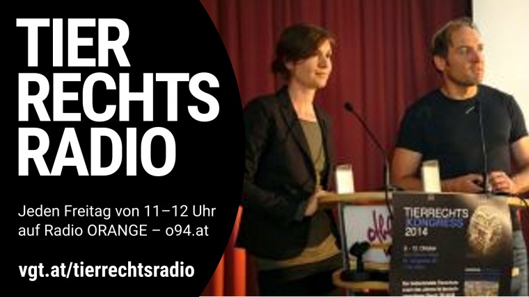 Bild zu dieser Radiosendung