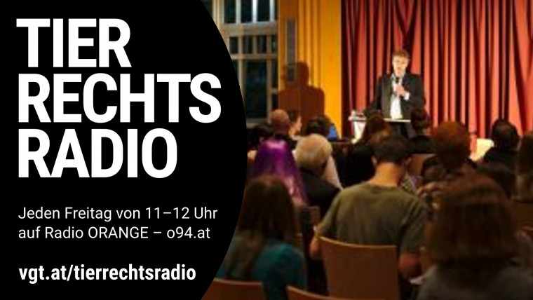Bild zu dieser Radiosendung