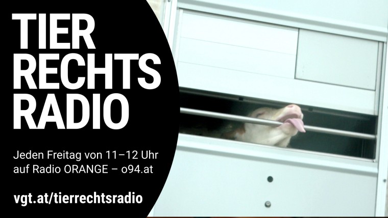 Bild zu dieser Radiosendung