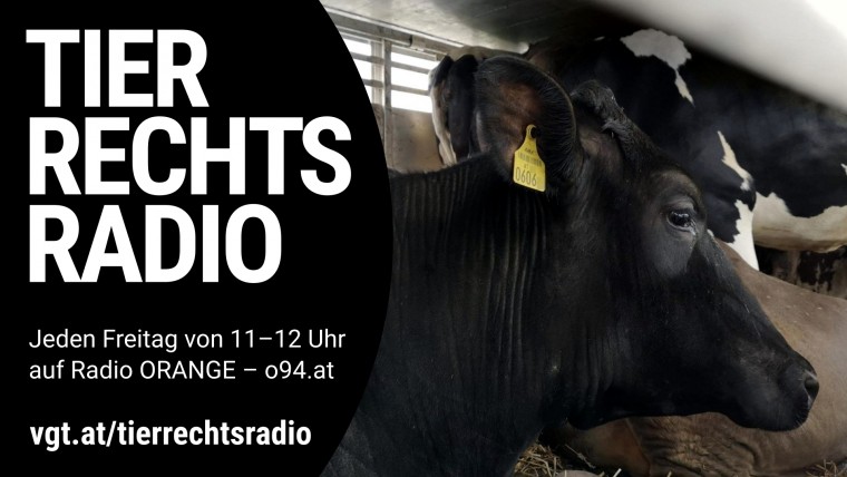 Bild zu dieser Radiosendung