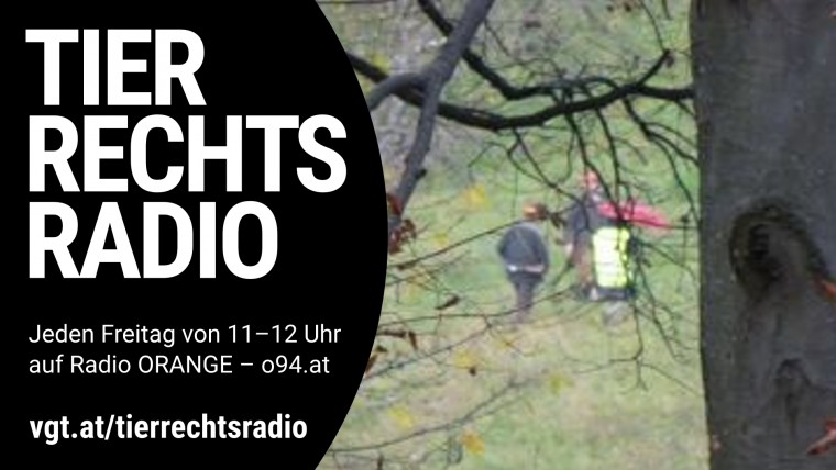 Bild zu dieser Radiosendung