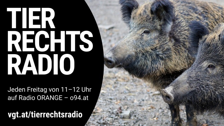 Bild zu dieser Radiosendung