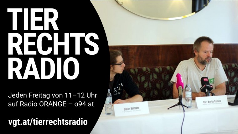 Bild zu dieser Radiosendung