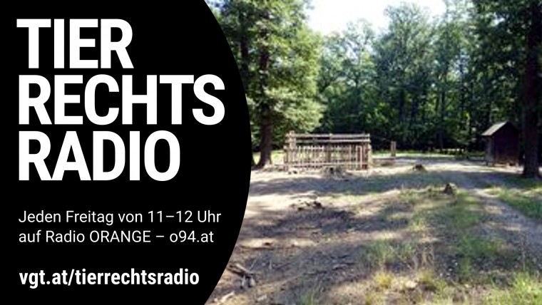 Bild zu dieser Radiosendung