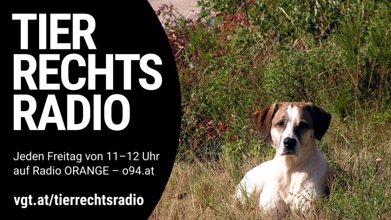 Bild zu dieser Radiosendung