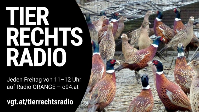 Bild zu dieser Radiosendung