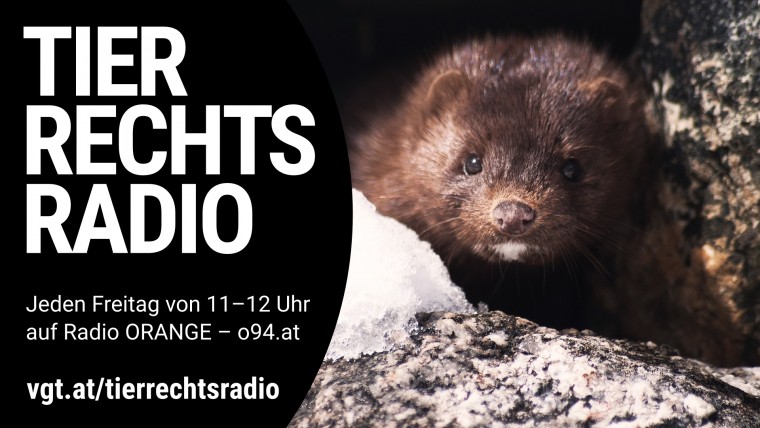 Bild zu dieser Radiosendung