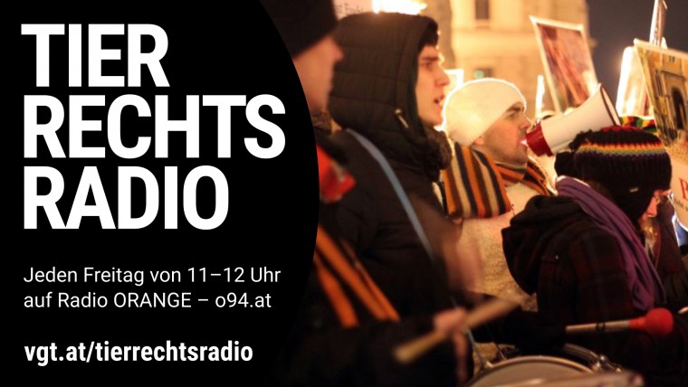 Bild zu dieser Radiosendung