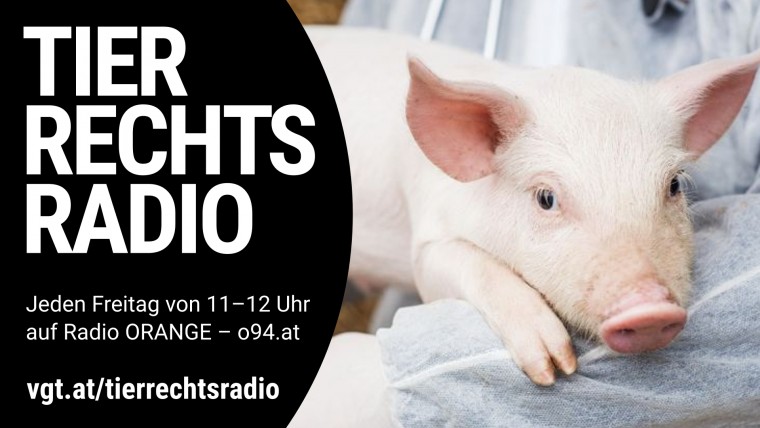Bild zu dieser Radiosendung