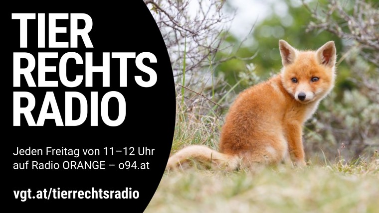 Bild zu dieser Radiosendung