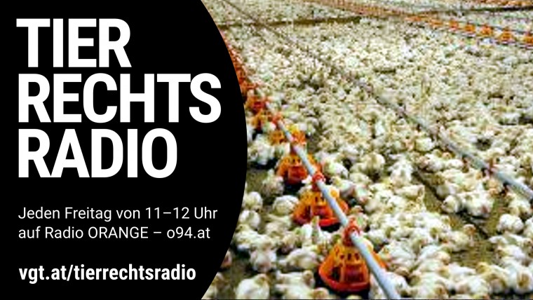 Bild zu dieser Radiosendung