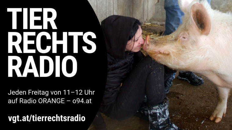 Bild zu dieser Radiosendung