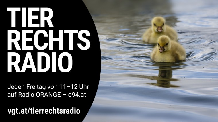 Bild zu dieser Radiosendung