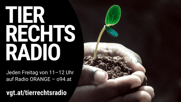 Bild zu dieser Radiosendung