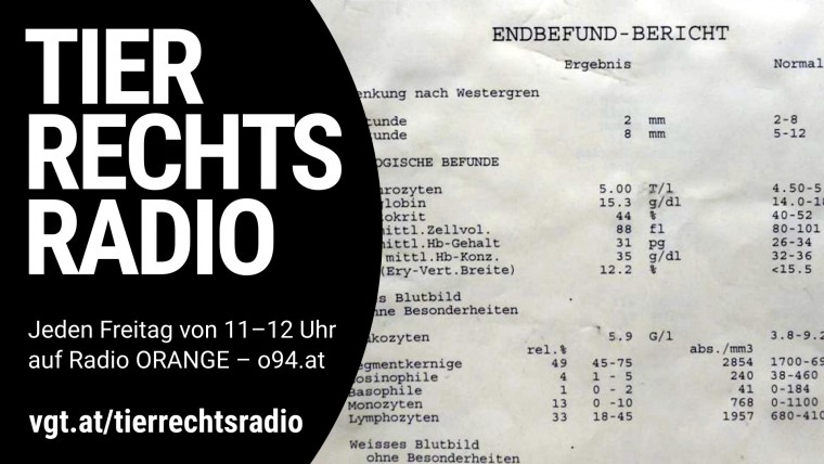 Bild zu dieser Radiosendung