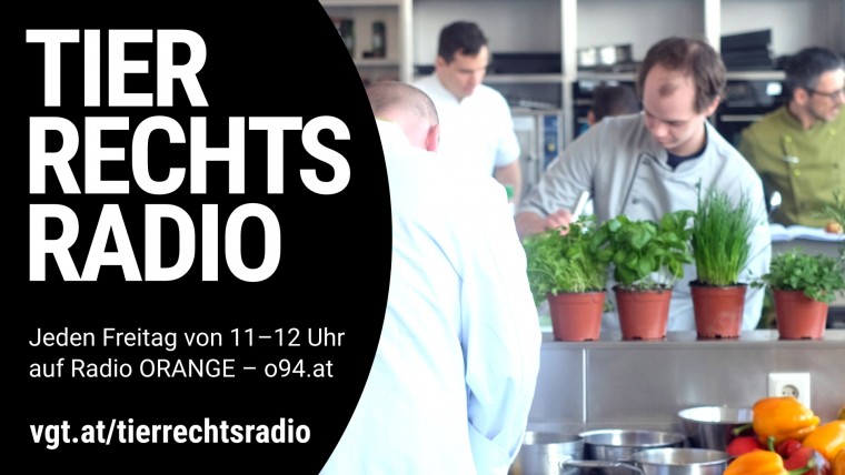 Bild zu dieser Radiosendung
