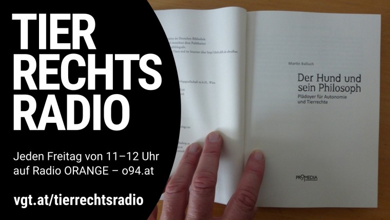 Bild zu dieser Radiosendung