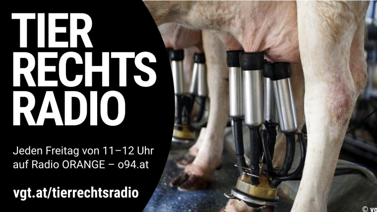 Bild zu dieser Radiosendung