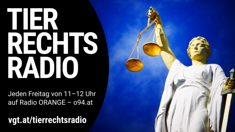 Bild zu dieser Radiosendung