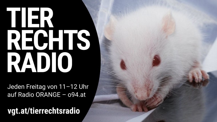 Bild zu dieser Radiosendung