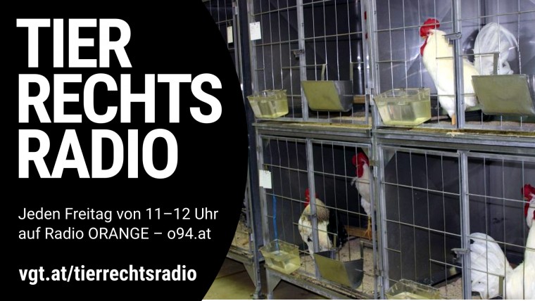 Bild zu dieser Radiosendung