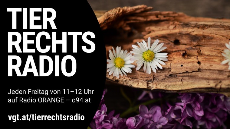 Bild zu dieser Radiosendung